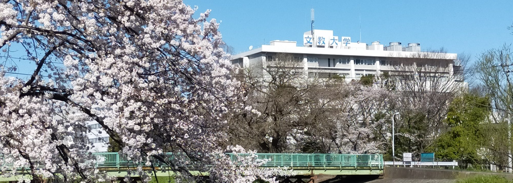 越谷 21年度日本学生支援機構奨学金予約採用候補者の手続き 学生課 文教大学越谷校舎