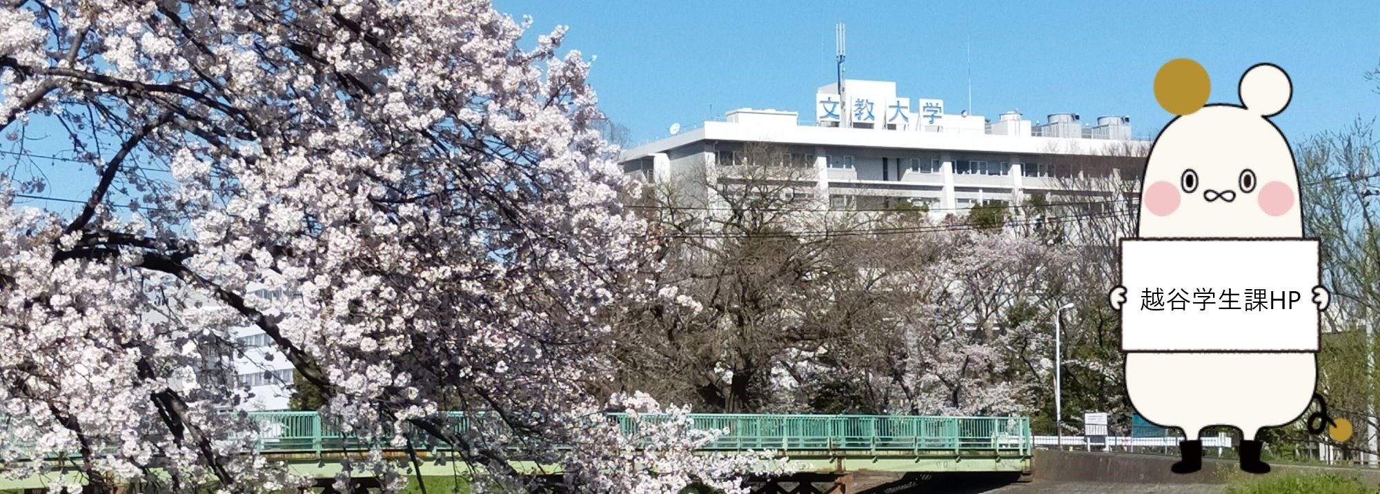 文教大学　越谷学生課