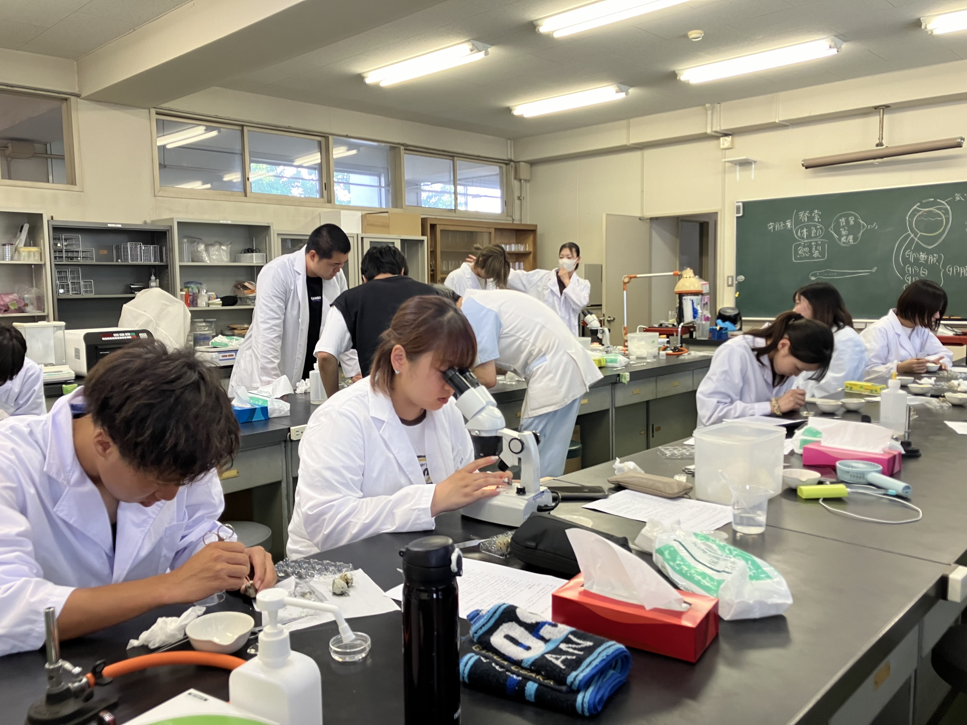 生物学実験授業中